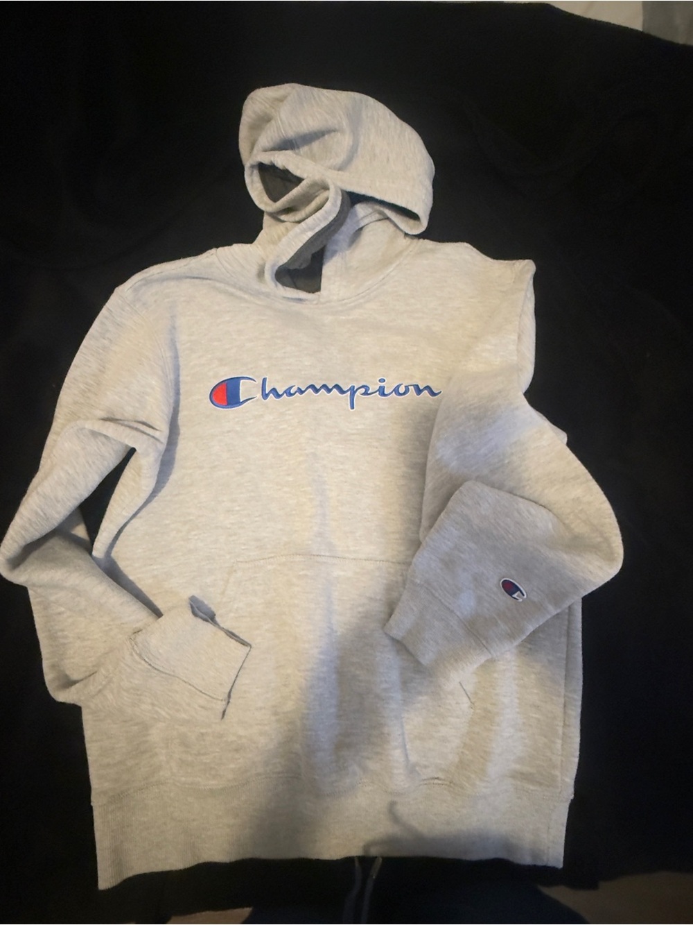 Champion kids Gray Hoodie Sweatshirt with Script Logo